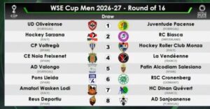 Wse Cup