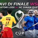 Wse Cup